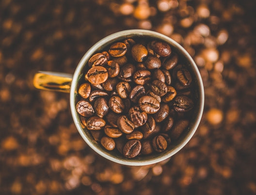 Taucht ein in unsere Faszination für Kaffee